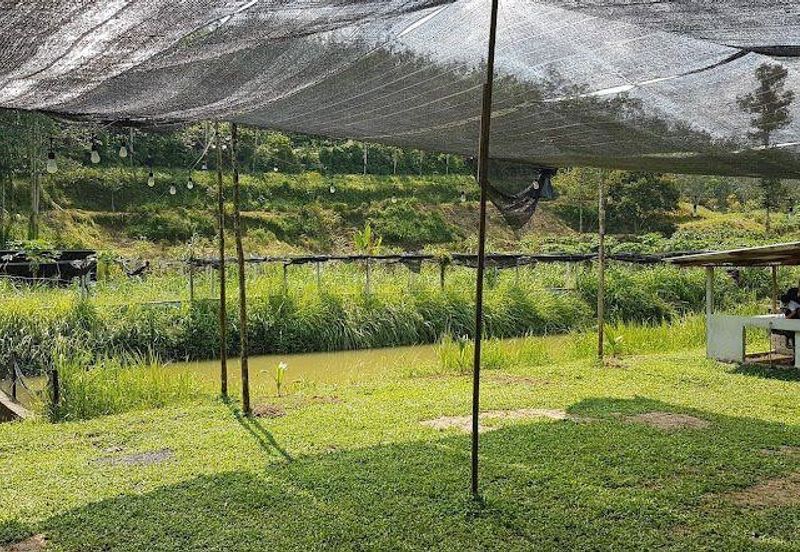 Kerling Industrial Land