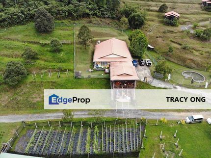 Kerling Selangor Eco Farm For Sale, Selangor, Kerling