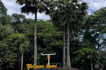 Sierramas (Sierramas East)