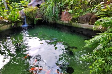 Kampung Sum Sum Hulu