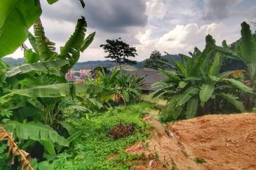 Kampung Bukit Sungai Puteh