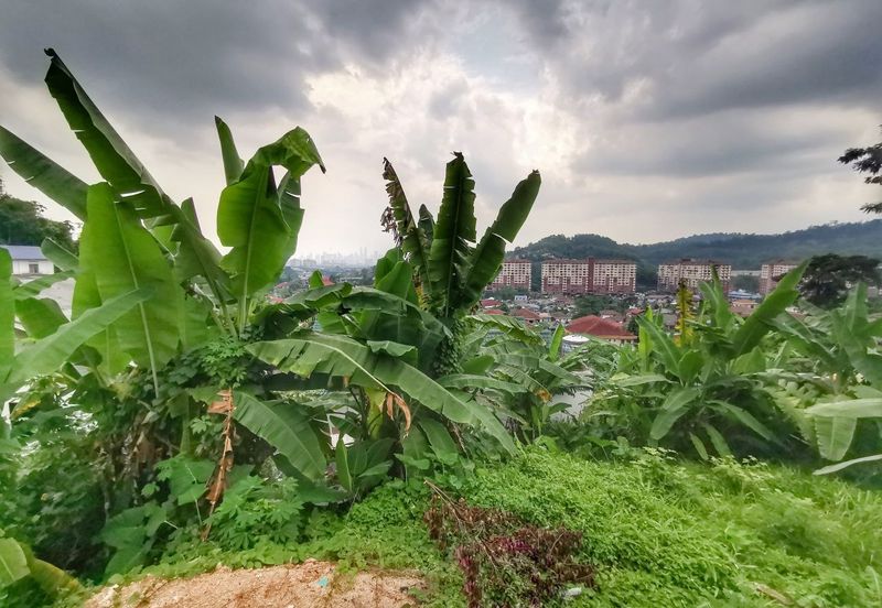 Kampung Bukit Sungai Puteh