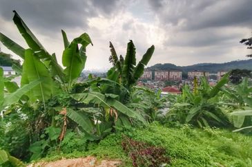 Kampung Bukit Sungai Puteh