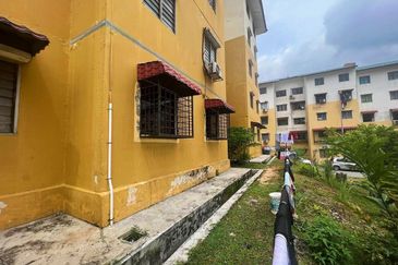 Sri Meranti, Bandar Sri Damansara