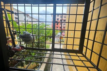 Sri Meranti, Bandar Sri Damansara