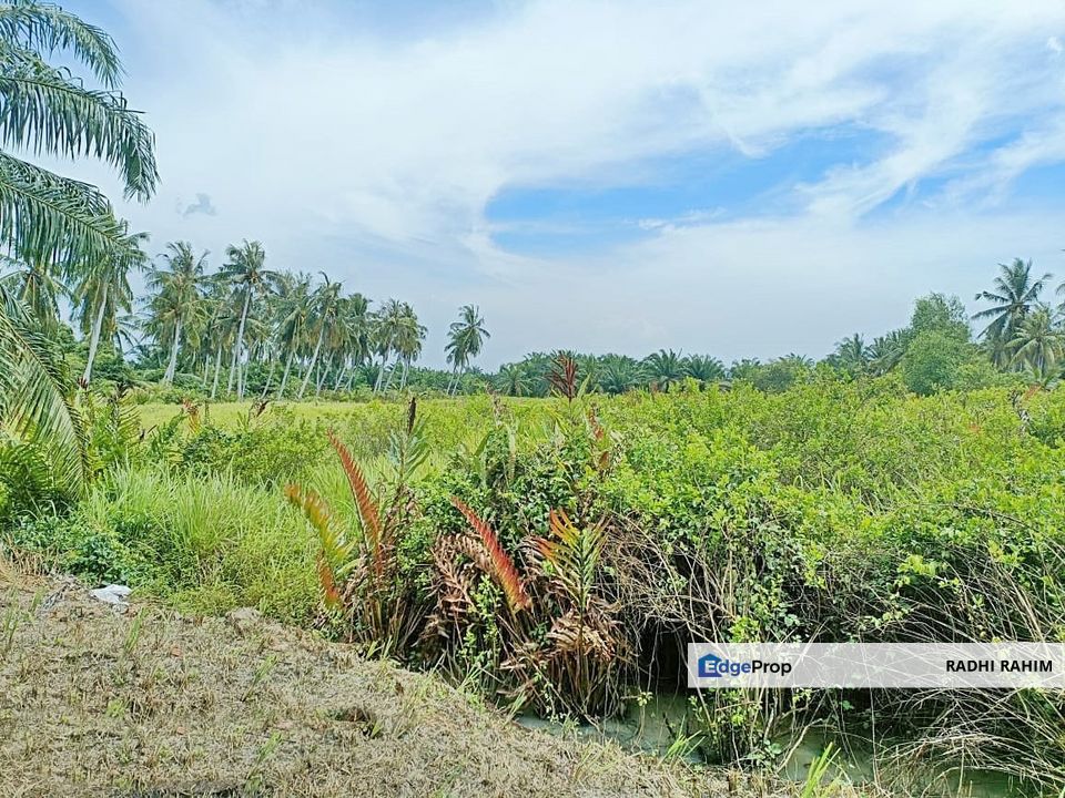 Mukim Api-Api 1.0ekar Tanah Agri Kuala Selangor Ada Akses Jalan, Selangor, Kuala Selangor