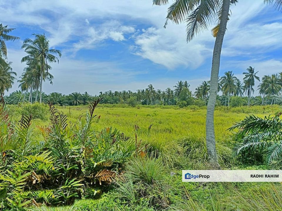 Mukim Api-Api 1.0ekar Tanah Agri Kuala Selangor Ada Akses Jalan, Selangor, Kuala Selangor