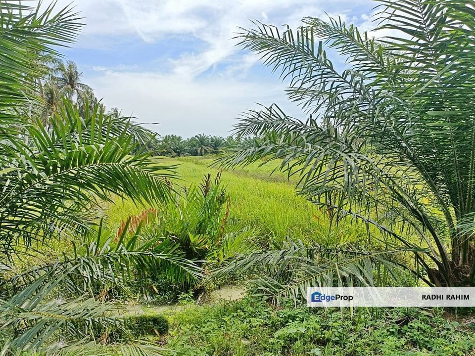 Mukim Api-Api 1.0ekar Tanah Agri Kuala Selangor Ada Akses Jalan, Selangor, Kuala Selangor