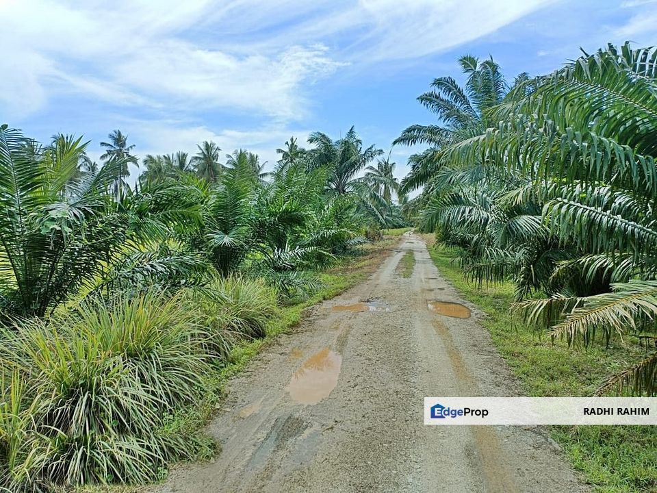 Mukim Api-Api 1.0ekar Tanah Agri Kuala Selangor Ada Akses Jalan, Selangor, Kuala Selangor