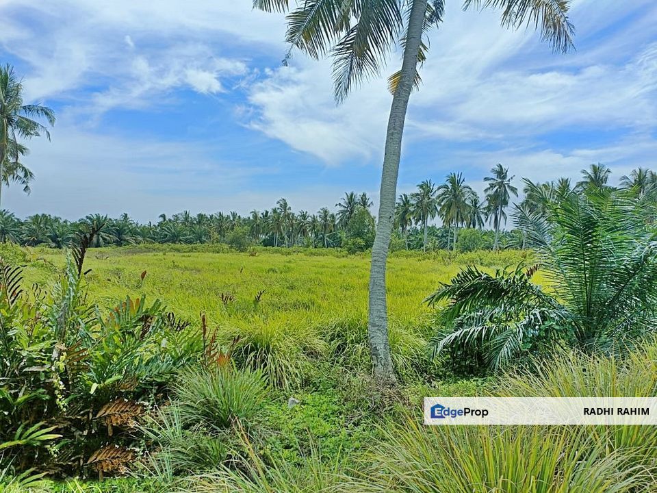 Mukim Api-Api 1.0ekar Tanah Agri Kuala Selangor Ada Akses Jalan, Selangor, Kuala Selangor