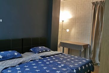 Evergreen Park Acorn and Hazel