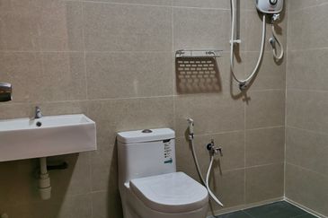 Evergreen Park Acorn and Hazel