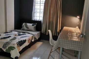 Evergreen Park Acorn and Hazel