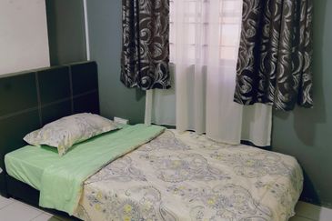 Evergreen Park Acorn and Hazel