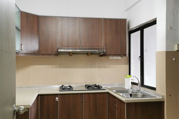 Evergreen Park Acorn and Hazel