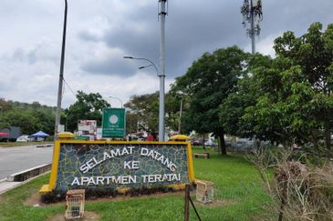 Taman Bunga Raya