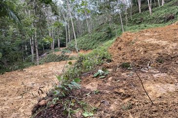 Batang Kali Malay Reservation