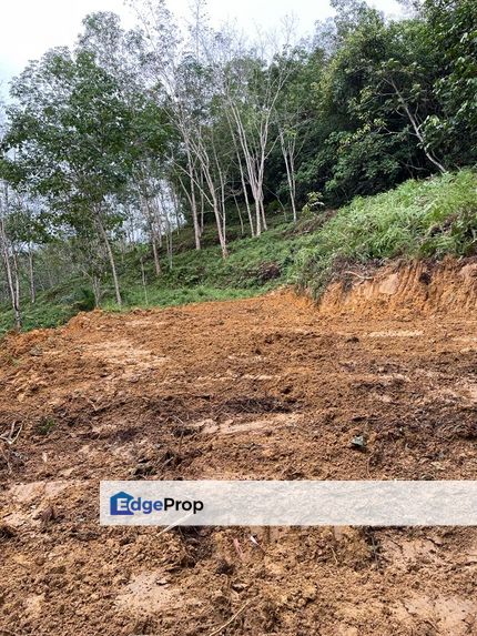 Tanah Pertanian Kebun Getah Batu Penunggul, Batang Kali, Hulu Selangor, Selangor, Hulu Selangor