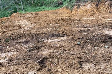 Batang Kali Malay Reservation