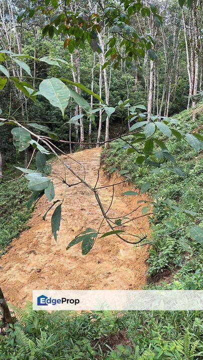 Tanah Pertanian Kebun Getah Batu Penunggul, Batang Kali, Hulu Selangor, Selangor, Hulu Selangor
