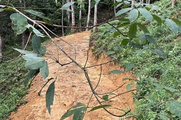 Batang Kali Malay Reservation