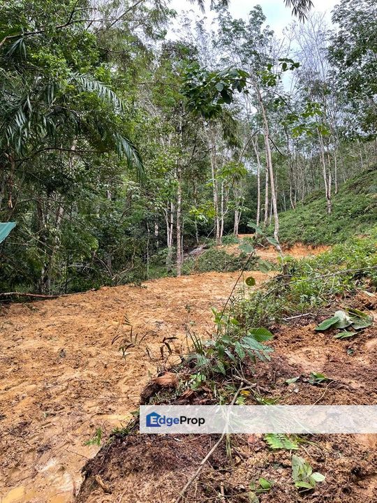 Tanah Pertanian Kebun Getah Batu Penunggul, Batang Kali, Hulu Selangor, Selangor, Hulu Selangor