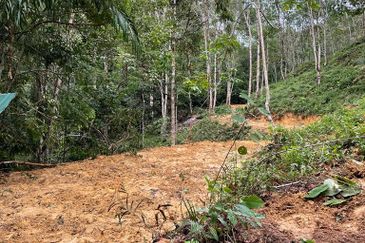 Batang Kali Malay Reservation