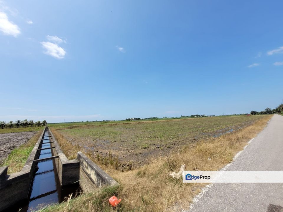 Tanah Sawah Padi Sungai Burong, Tanjong Karang, Kuala Selangor, Selangor, Tanjong Karang 