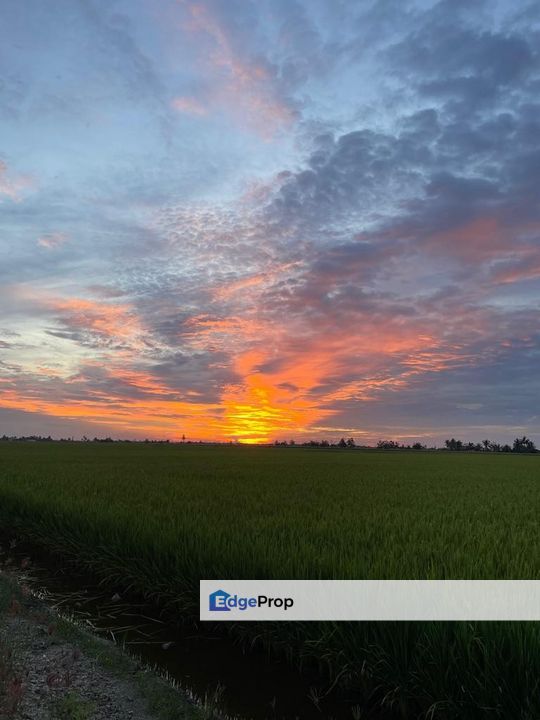 Tanah Sawah Padi Sungai Burong, Tanjong Karang, Kuala Selangor, Selangor, Tanjong Karang 