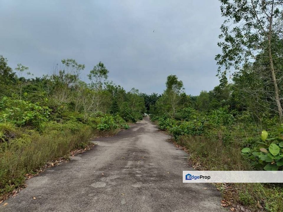 [6000sf Geran Individu] Tanah Lot Banglo Bukit Damar Dengkil Cyberjaya, Selangor, Dengkil