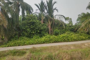 [GERAN INDIVIDU + SUNGAI] Tanah Mukim Pasangan Kuala Selangor 0.8 ekar