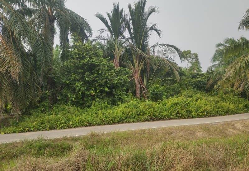 [GERAN INDIVIDU + SUNGAI] Tanah Mukim Pasangan Kuala Selangor 0.8 ekar