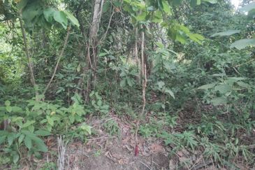 [GERAN INDIVIDU + SUNGAI] Tanah Mukim Pasangan Kuala Selangor 0.8 ekar