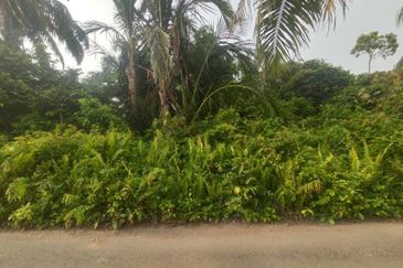 [GERAN INDIVIDU + SUNGAI] Tanah Mukim Pasangan Kuala Selangor 0.8 ekar