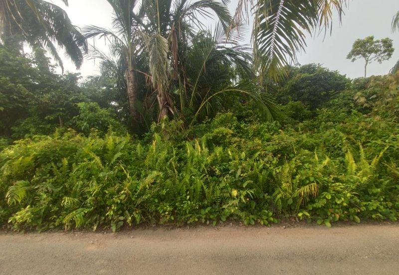 [GERAN INDIVIDU + SUNGAI] Tanah Mukim Pasangan Kuala Selangor 0.8 ekar