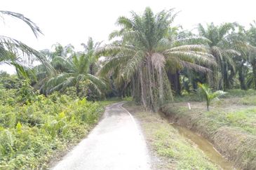 [GERAN INDIVIDU + SUNGAI] Tanah Mukim Pasangan Kuala Selangor 0.8 ekar