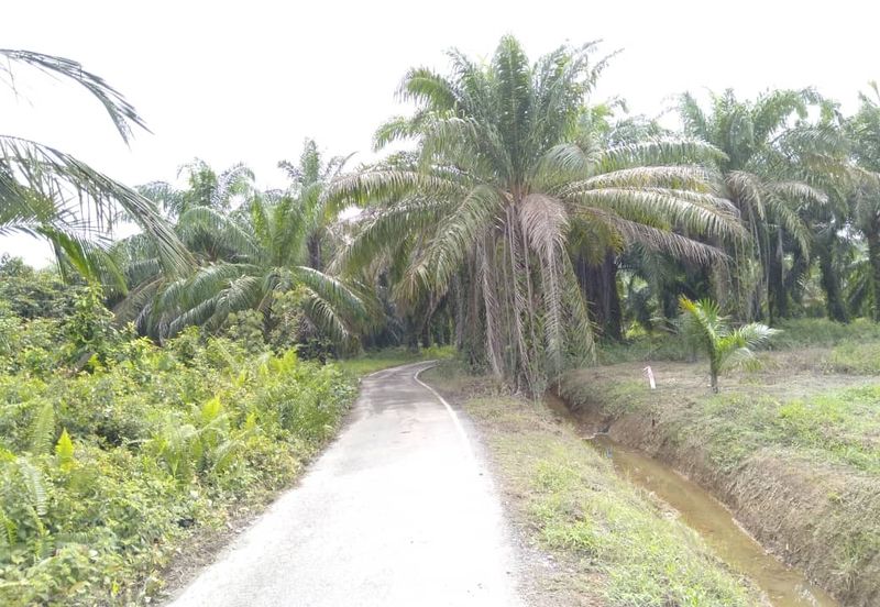 [GERAN INDIVIDU + SUNGAI] Tanah Mukim Pasangan Kuala Selangor 0.8 ekar