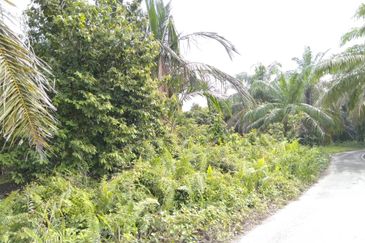 [GERAN INDIVIDU + SUNGAI] Tanah Mukim Pasangan Kuala Selangor 0.8 ekar