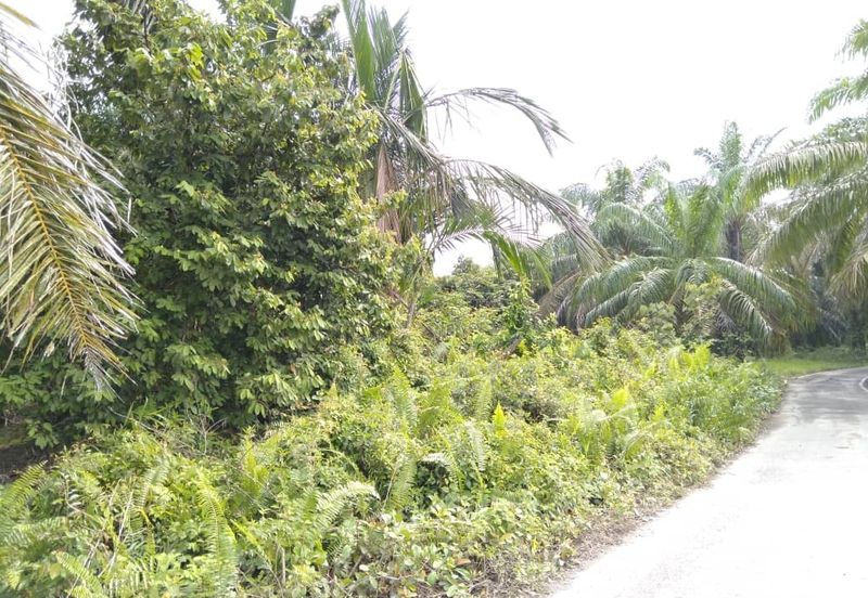 [GERAN INDIVIDU + SUNGAI] Tanah Mukim Pasangan Kuala Selangor 0.8 ekar