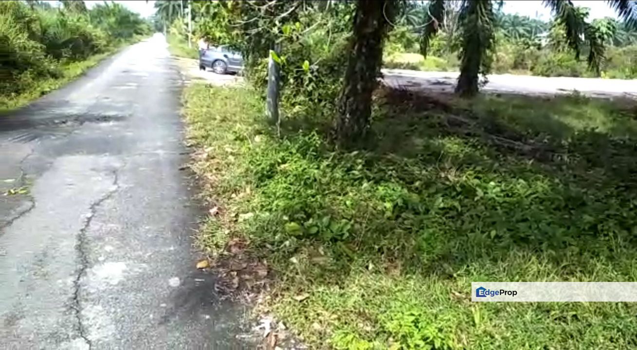 Tanah 1 Ekar Bukit Badong, Bestari Jaya, Ijok Kuala Selangor, Selangor, Kuala Selangor
