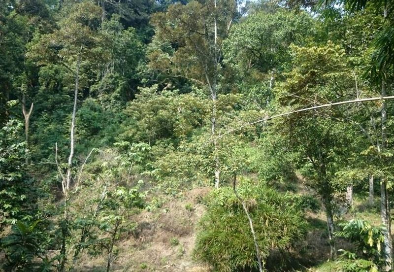Dusun Tua, Batu 17
