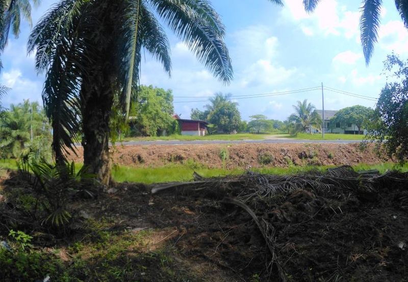 Tanah Sawit di Jugra Kuala Langat, Banting