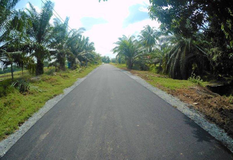 Tanah Sawit di Jugra Kuala Langat, Banting