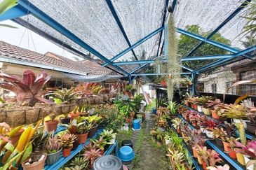 Pulau Indah ( Pulau Lumut )