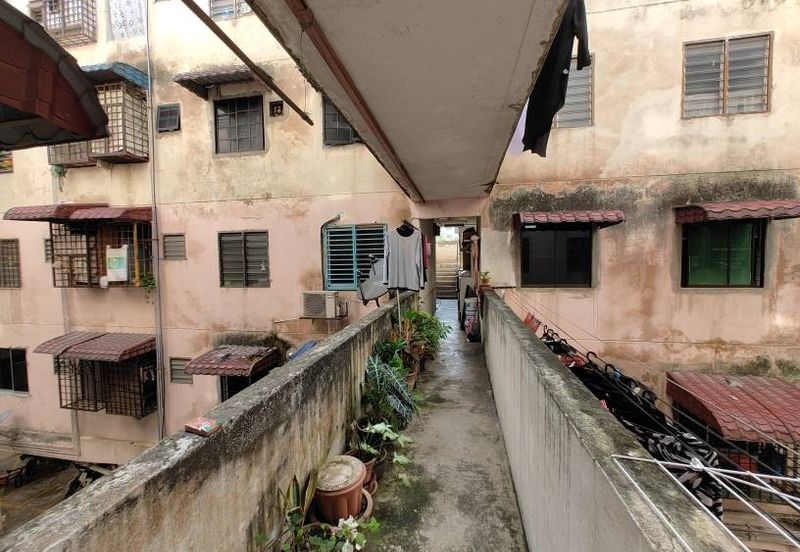 Gugusan Seroja, Seksyen 6 Kota Damansara