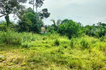 TAMAN DESA JASMIN (BBN)