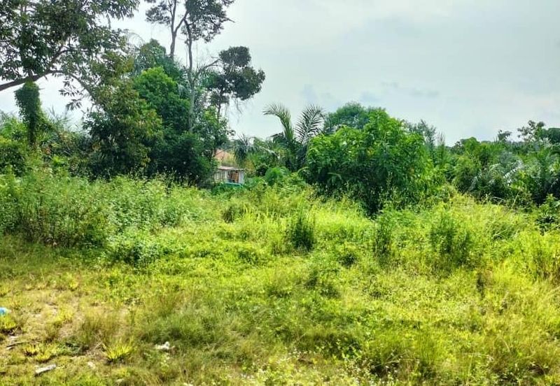 TAMAN DESA JASMIN (BBN)