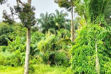 TAMAN DESA JASMIN (BBN)