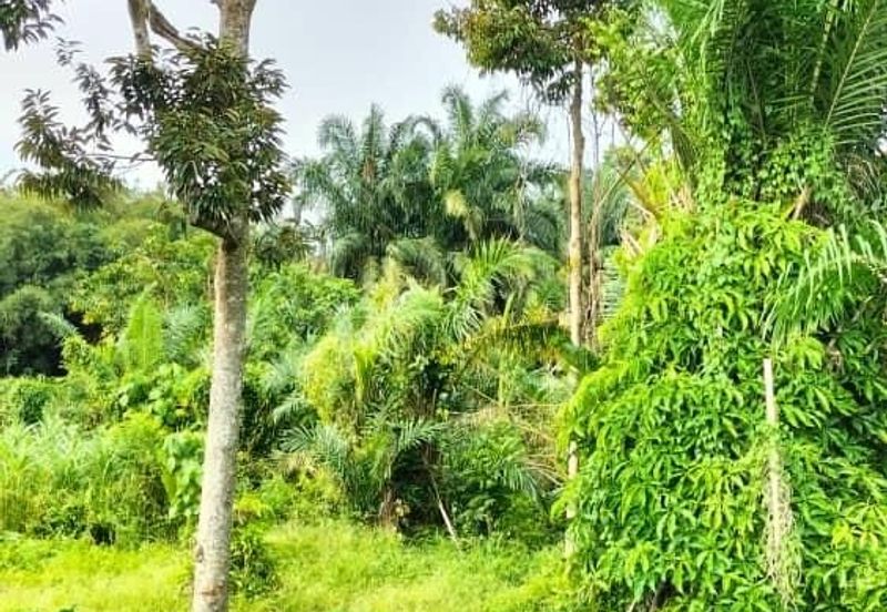 TAMAN DESA JASMIN (BBN)