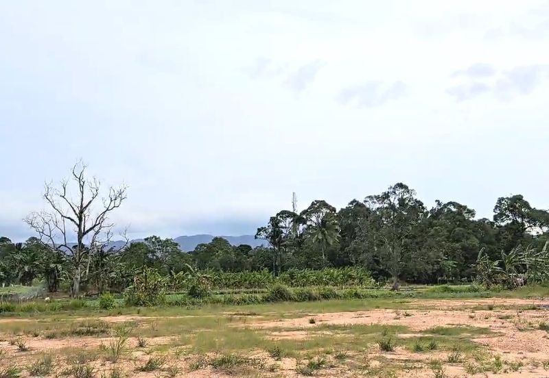 Tanah Pertanian Beranang Tengah